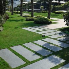 a garden with grass and stepping stones in the center, surrounded by palm trees on either side