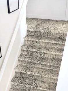 a carpeted staircase leading up to a white wall and framed pictures on the wall