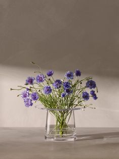 a vase filled with purple flowers on top of a table