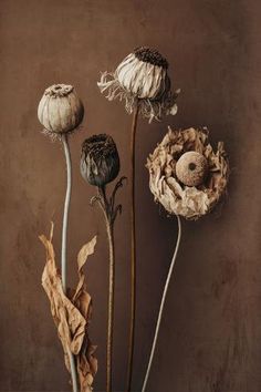 three dried flowers in a vase against a brown wall with peeling leaves on the bottom