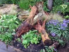 a tree stump sitting in the middle of a garden