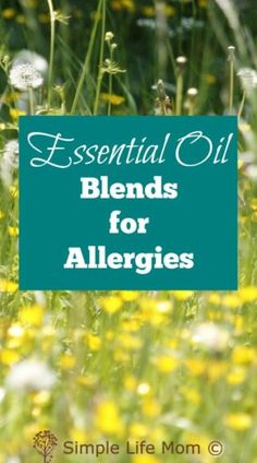 Essential Oil Blends for Allergies with peppermint, eucalyptus, bergamot, lemon, and other natural oils to help give allergy relief by Simple Life Mom Allergy Essential Oil Blend, Natural Remedies For Asthma, Essential Oils For Allergies, Oils For Allergies, Remedies For Asthma, Essential Oils Allergies, Autogenic Training, Natural Allergy Relief, Natural Asthma Remedies