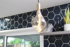 a light bulb hanging from the ceiling above a shelf with plants and bottles on it