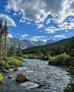 a river flowing through a lush green forest under a blue sky with fluffy white clouds