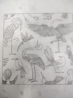 a drawing of birds and flowers on a sheet of paper