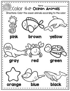 color the ocean animals worksheet for kids to learn colors and write their name