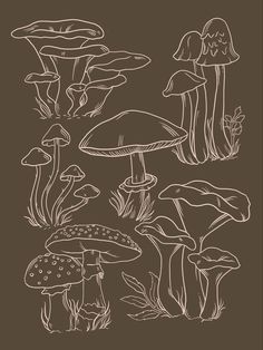 hand drawn mushrooms on brown background