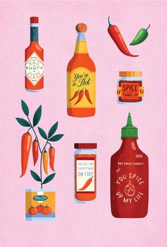 an illustration of spices and condiments on a pink background