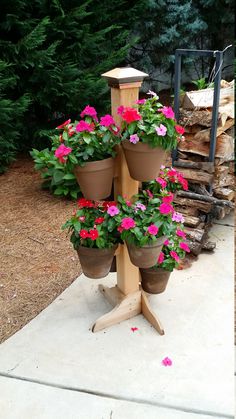 several potted flowers are arranged on a wooden stand