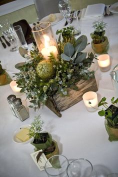 an arrangement of plants and candles on a white table cloth with place settings for the centerpieces