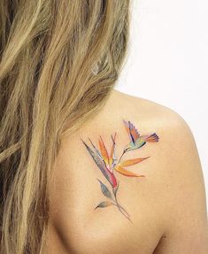 the back of a woman's shoulder with colorful bird of paradise tattoo on it