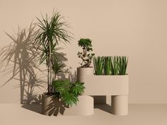 three planters sitting next to each other in front of a wall