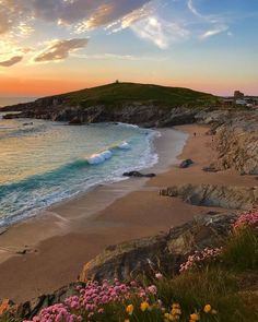 the sun is setting over an ocean with flowers growing on the shore and waves coming in