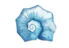 an illustration of a blue flower on a white background with watercolors and ink