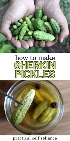 pickles in jars with the title how to make gherkin pickles practical self reliance