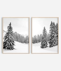 two black and white photographs of trees in the snow