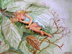 a painting of a fairy sleeping on a leafy branch