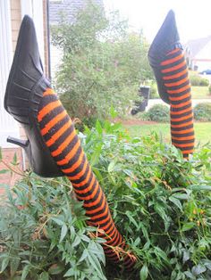 the legs are decorated with black and orange striped socks, sitting on top of bushes