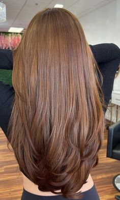 Honey Tones Hair, Ginger Tinted Hair, Orange Ish Brown Hair, Copper Ashy Hair, Light Brown Cinnamon Hair Color, Sugar Brown Hair, Amber Brown Hair With Highlights, Ginger Hair With Brown Highlights, Orangey Brown Hair