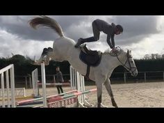 a woman riding on the back of a white horse