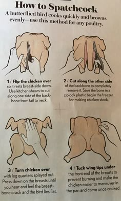 instructions on how to use the spacer for your dog's head and neck