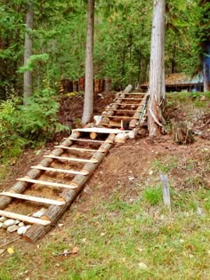 there are many steps made out of logs in the woods, and one is going up