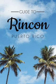 palm trees with the words guide to rincon puerto rico