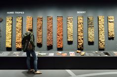 a person standing in front of a wall with different types of rocks