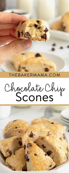 chocolate chip scones on a plate with milk in the background and text overlay