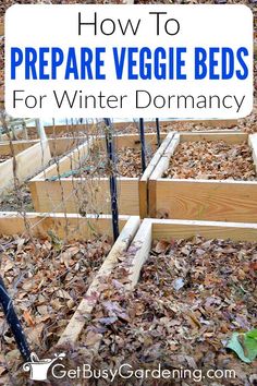 how to prepare veggie beds for winter dormancy with text overlay that reads, how to prepare veggie beds for winter dormancy