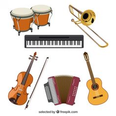 various musical instruments including an accordion, violin, and music instrument on a white background