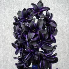 purple flowers are in a black vase on a table