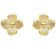 Highlight your free spirit with these shapely stud earrings fashioned after flowers with a smooth textured finish. From Ariva. Summer Earrings, Butterfly Earrings Stud, Flower Stud Earrings, Summer Earring, Flower Stud, Earrings Stud, Flower Earrings Studs, Flower Studs, Butterfly Earrings