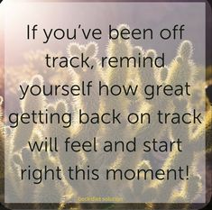 a cactus with the quote if you've been off track, remind yourself how great getting back on track will feel and start right this moment