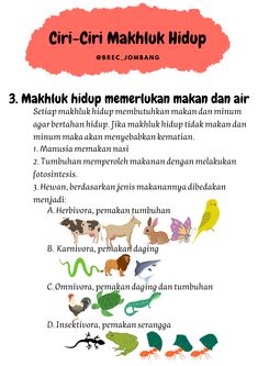 an advertisement with different types of animals and birds in the text, which reads cir - ciri maktuk hidup