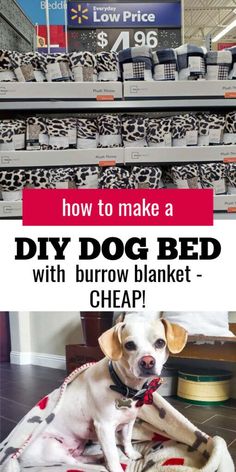 a dog laying on top of a bed in a store with the words how to make a diy dog bed with burrow blanket cheap