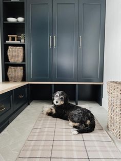 a black and white dog laying on a rug in the middle of a kitchen with blue cabinets