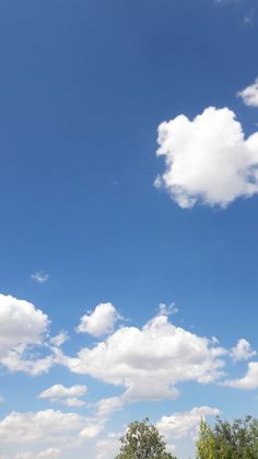 a group of people standing on top of a lush green field under a blue sky