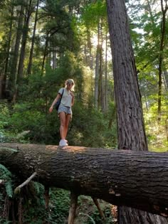 a woman walking across a fallen tree in the woods