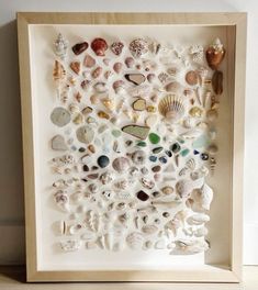 a shadow box with seashells and shells in it on a table next to a wall