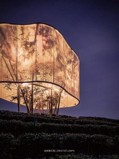 a large glass structure with trees on the side and lights in the middle at night