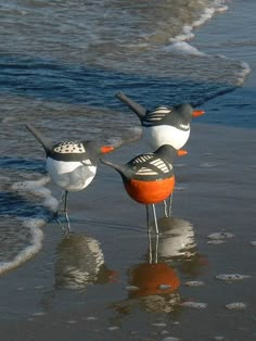 three birds are standing on the beach near the water