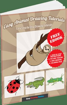 an easy animal drawing book with pictures of animals and bugs on the cover, including a slot