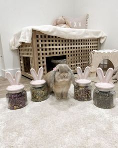 a bunny rabbit sitting in front of four jars filled with food