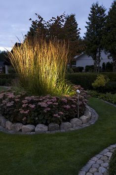 a garden with grass and flowers in the middle