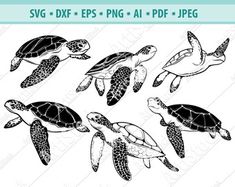 sea turtle svg clipart set