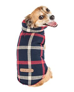 a small dog wearing a blue and red plaid coat with his tongue hanging out to the side