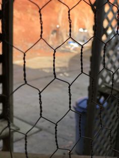 an orange cat sitting on the ground behind a chain link fence with trash cans in the background