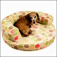 a brown dog laying on top of a polka dot pet bed in front of a white background