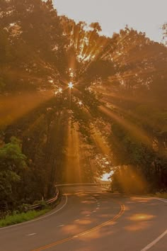 the sun shines brightly through the trees on this winding road as it passes by